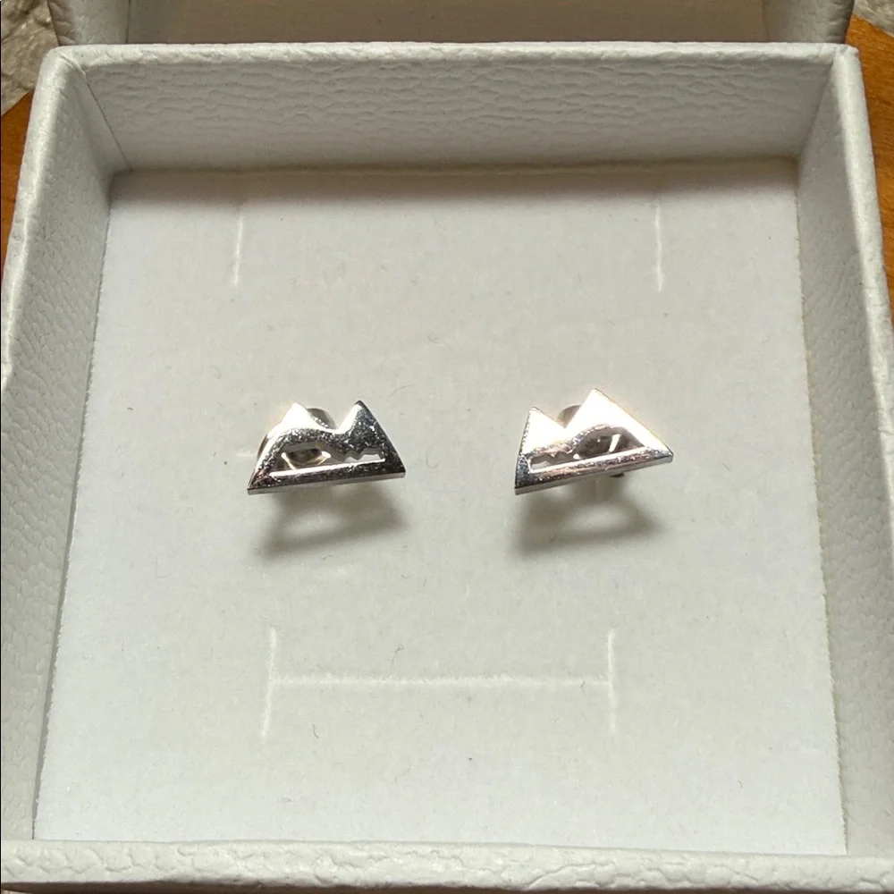 Silver Mountain Earrings